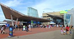 New England Aquarium - May 22, 2022