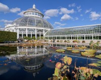 New York Botanical Gardens (Orchid Show) - March 16, 2024