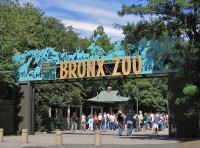 Bronx Zoo - July 12, 2023