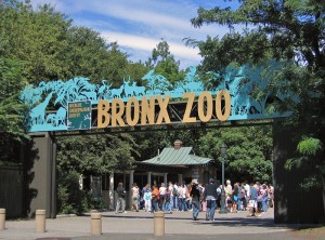 Bronx Zoo - April 23, 2022